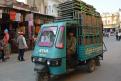 11-11-14 Pushkar (9)