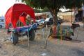 11-11-14 Lac de Brama, Pushkar (8)