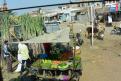 11-11-14 Route vers Pushkar