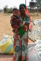 08-11-14 Désert du Thar, plantation de coton (4)