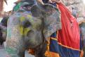 12-11-14 Fort d'Amber, Jaipur (5)