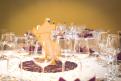 2014-04-19-Floriane et Alexandre FULL-175