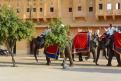 12-11-14 Fort d'Amber, Jaipur (15)